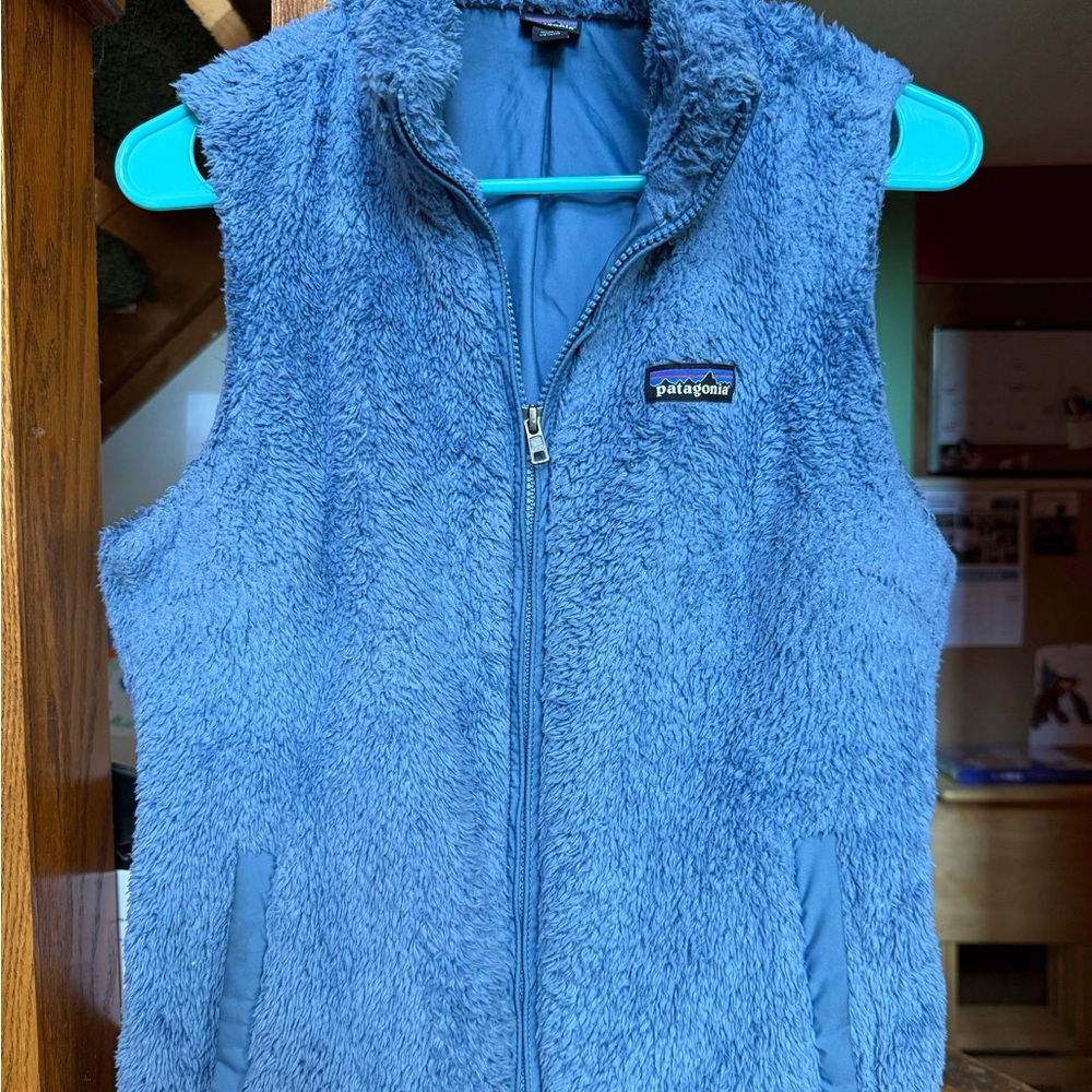 Patagonia Los Gatos vest